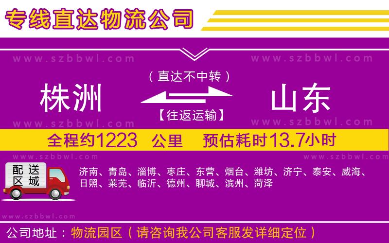 株洲到山東物流公司