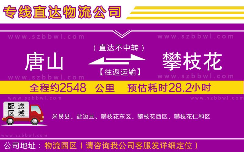 唐山到攀枝花物流公司