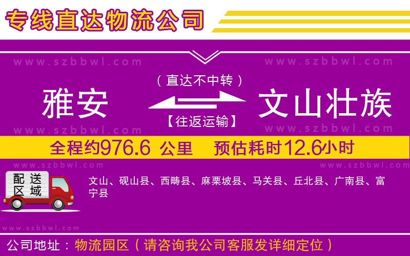 雅安到文山壯族苗族自治州物流公司